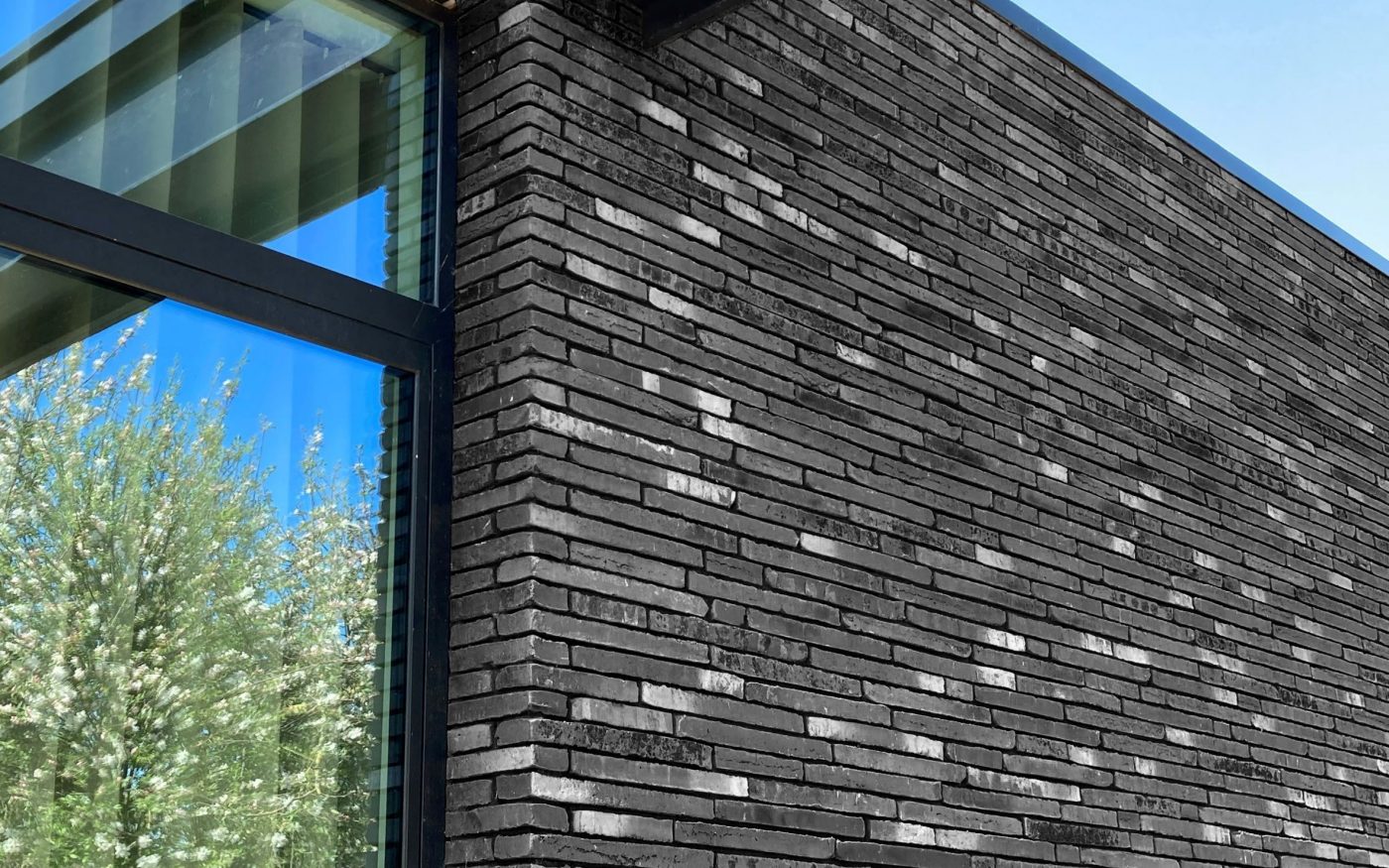 Nieuwbouw vrijstaande woning, Wieden | Gevelbaksteen: Speciaal E2 LF495