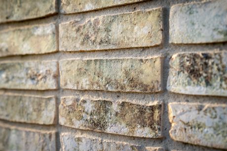 Nieuwbouw 22 sociale huurwoningen | Liesdaal, Maren-Kessel