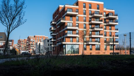 6 appartementengebouwen en rijwoningen de Bongerd | Oeverzone, Amsterdam | Gevelbakstenen: Catalunya HV WF en de Marziale HV WF