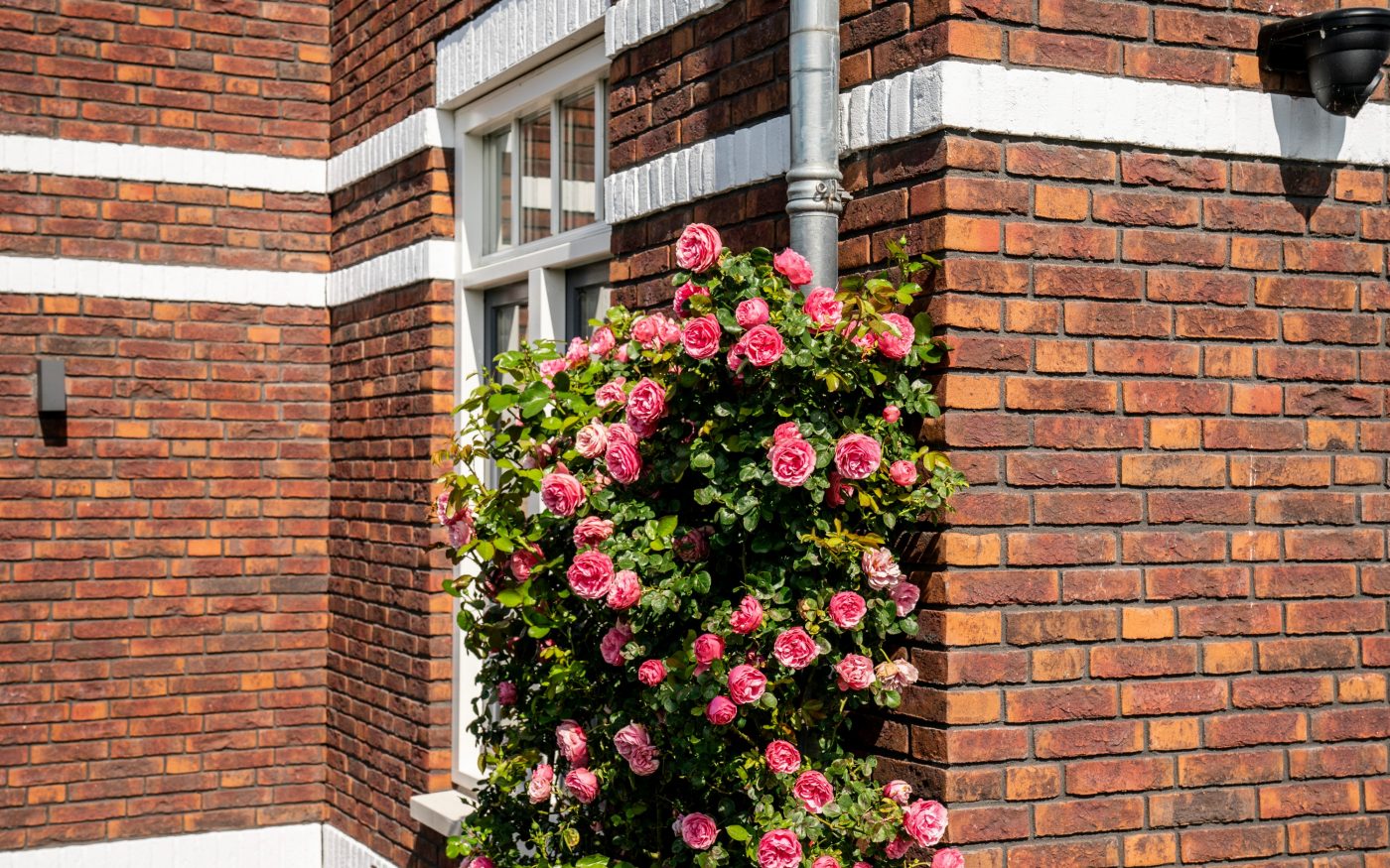 Nieuwbouw woningen Weespersluis | Weesp