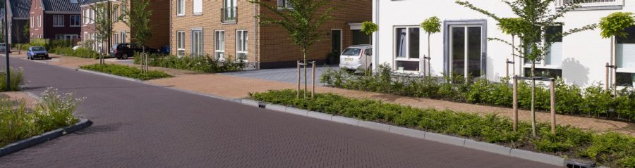 Het creëren van een Hattemse sfeer | Assenrade, Hattem