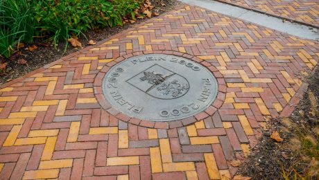 Herinrichting openbare ruimte | Centrum, Tegelen | Straatbakstenen: Tegelen mix en de Bruno, Rosa en Zonnebloem DF