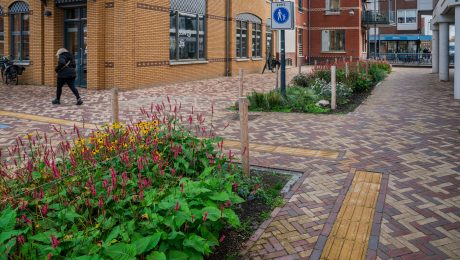 Herinrichting openbare ruimte | Centrum, Tegelen | Straatbakstenen: Tegelen mix en de Bruno, Rosa en Zonnebloem DF