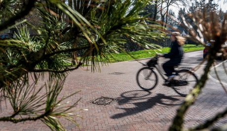 Herinrichting openbare ruimte | Ruitersboslaan, Breda | Straatbakstenen: Ravenna DF en KK80 en de Argenti KK70