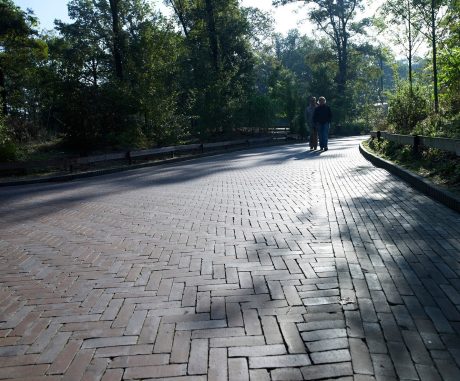 Renovatie straat en entree dierentuin, Burgers´ Zoo, Arnhem. Straatbakstenen: Oliva WS DF.