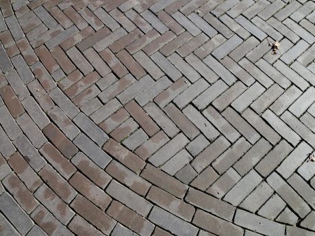 Renovatie straat dierentuin | Burgers´ Zoo, Arnhem | Straatbakstenen: Oliva wasserstrich DF | Architect: Veenenbosch en Bosch landschapsarchitecten, Arnhem i.s.m. Gemeente Arnhem en SmitsRinsma, Zutphen | Opdrachtgever: Koninklijke Burgers' Zoo, Gemeente Arnhem | Aannemer: Van de Haar Groep, Wekerom