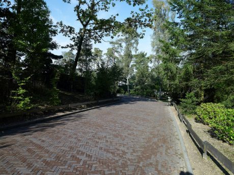 Renovatie straat dierentuin | Burgers´ Zoo, Arnhem | Straatbakstenen: Oliva wasserstrich DF | Architect: Veenenbosch en Bosch landschapsarchitecten, Arnhem i.s.m. Gemeente Arnhem en SmitsRinsma, Zutphen | Opdrachtgever: Koninklijke Burgers' Zoo, Gemeente Arnhem | Aannemer: Van de Haar Groep, Wekerom