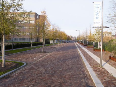 Herontwikkeling | Havenstraat, Huizen | Straatbakstenen: Siena, Mastiek, Ravenna en Padova KK en Wit geglazuurde straatbakstenen