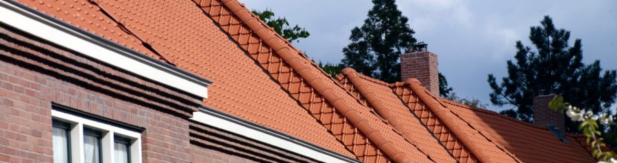 Grootschalige renovatie Philipsdorp Vooroorlogse woonwijk, Eindhoven