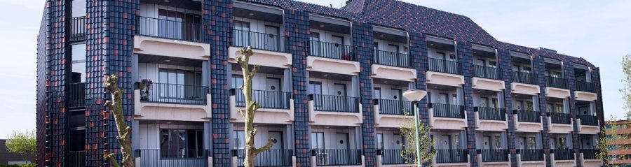 Herontwikkeling met een hoog ambitieniveau De Hulk Almere