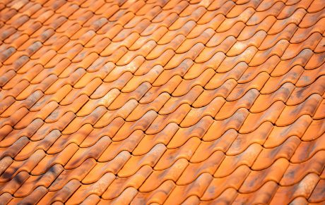 Landgoed Land van Belofte, Moerkapelle | Dakpan: Oude Holle 451 vieilli rood