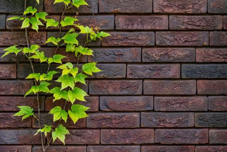 Renovatie van een oranjerie met ClickBrick Pure in Baarn