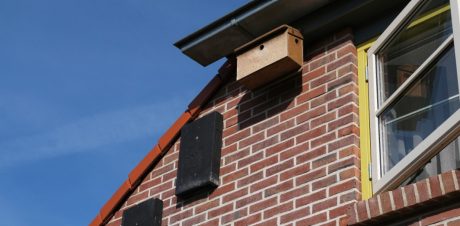 Renovatie 50 woningen | Kolkakkerweg, Ede | Gevelbaksteen: Rood Kolengestookt VB RE | Architect: OpZoom Architecten | Aannemer: KlokGroep Totaalonderhoud | Opdrachtgever: Woningcorporatie Woonstede