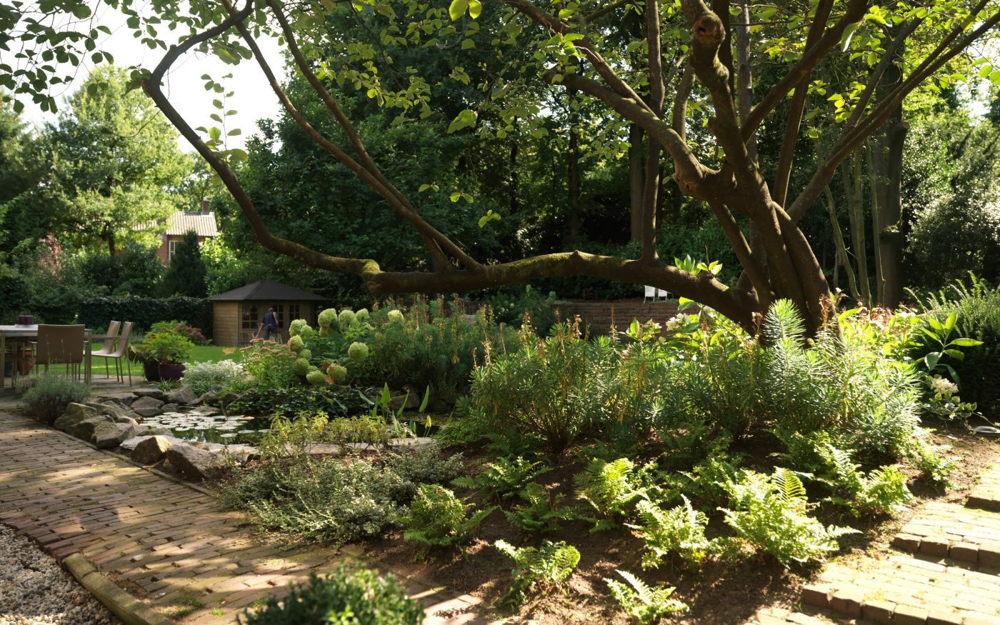 Imagine! Magazine sfeerbeeld | Alleen te gebruiken in Nederland