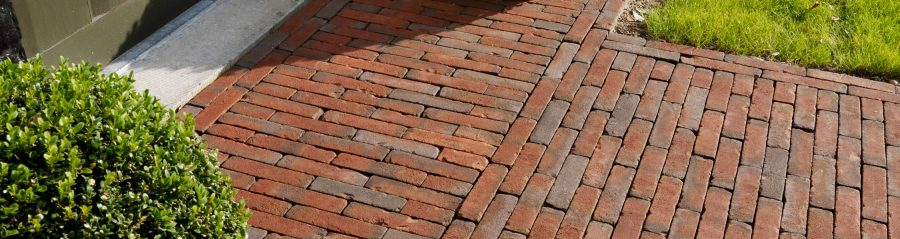 Er is nog toekomst voor het verleden | Omgeving Brugge, België