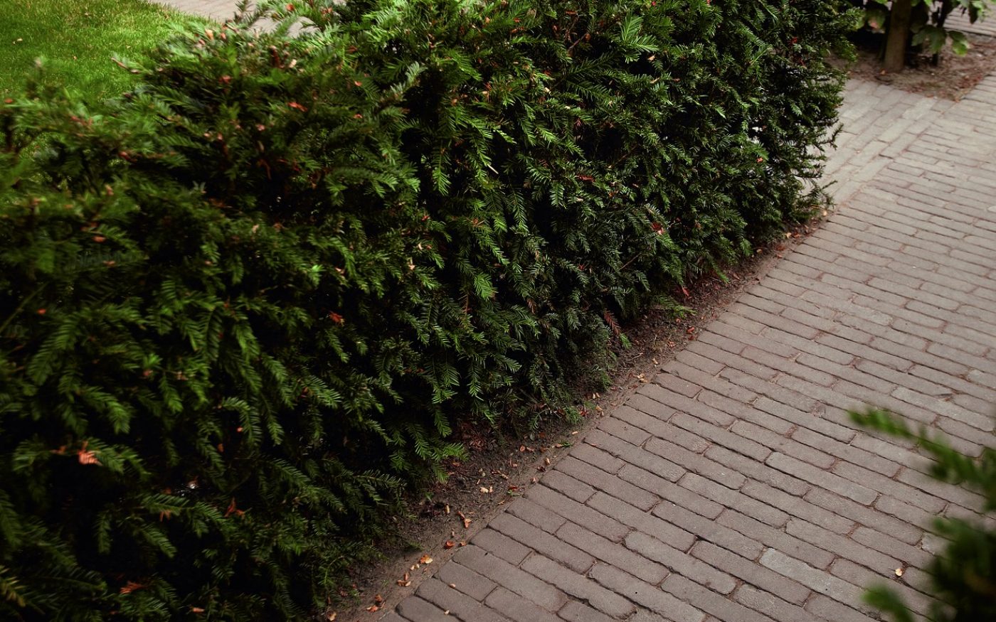 Reference photo private landscaping in Zeveren