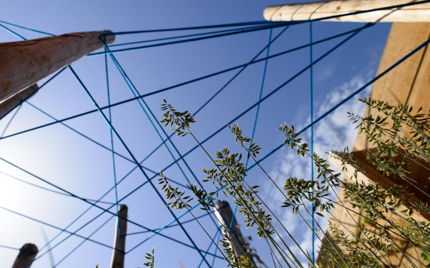 Viseo Vireo | De tuinen van Appeltern, Appeltern