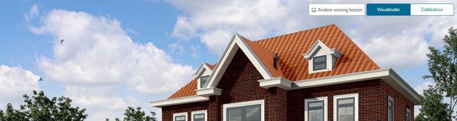 Koramic visualisatietool