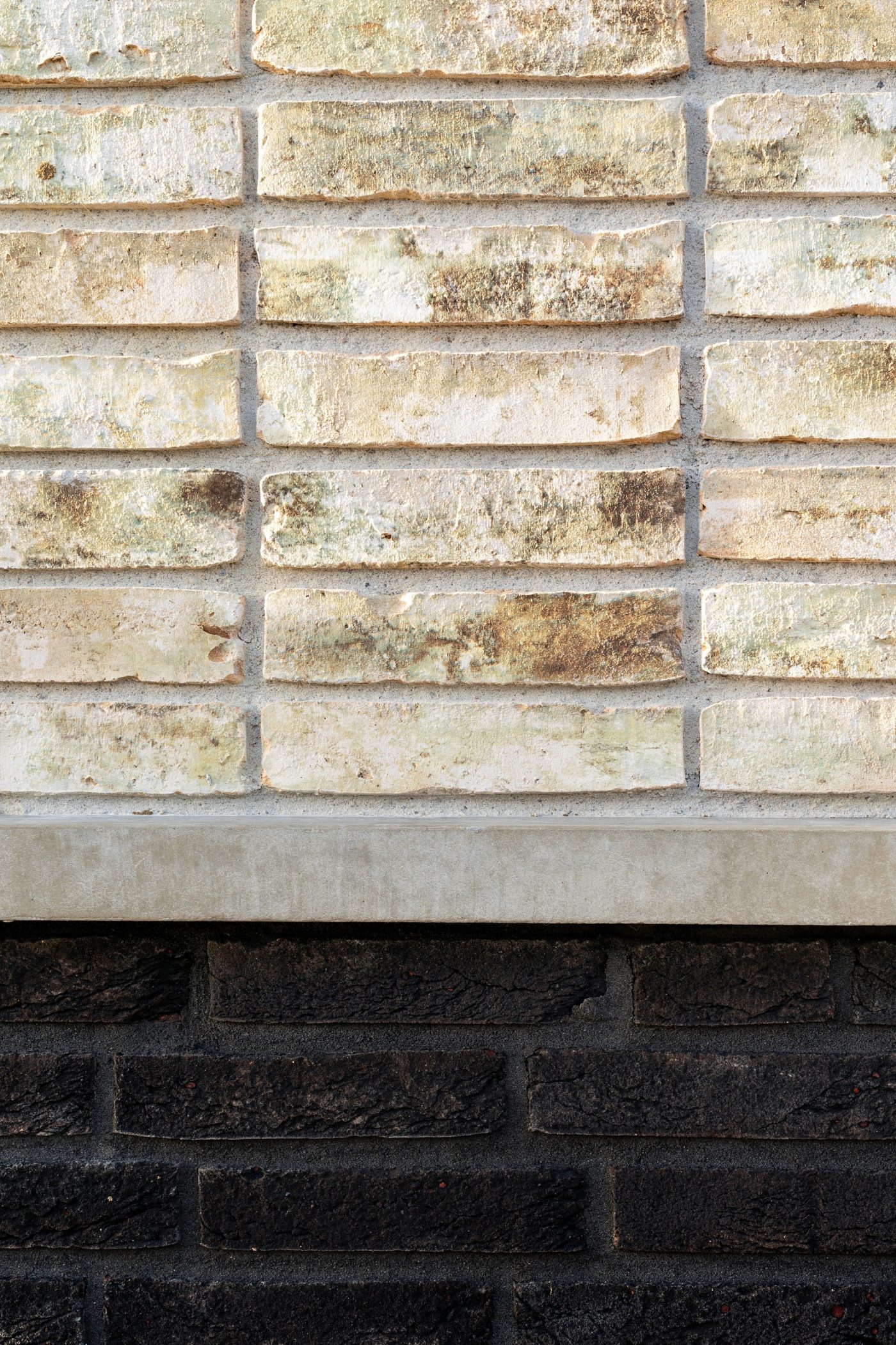 Woningen met Wevolt X-Roof zonnepanelen