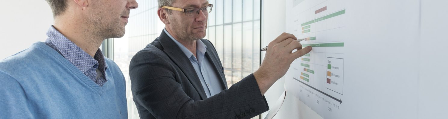 Digitalisation process at Wienerberger, Fast Forward General Management & Administration