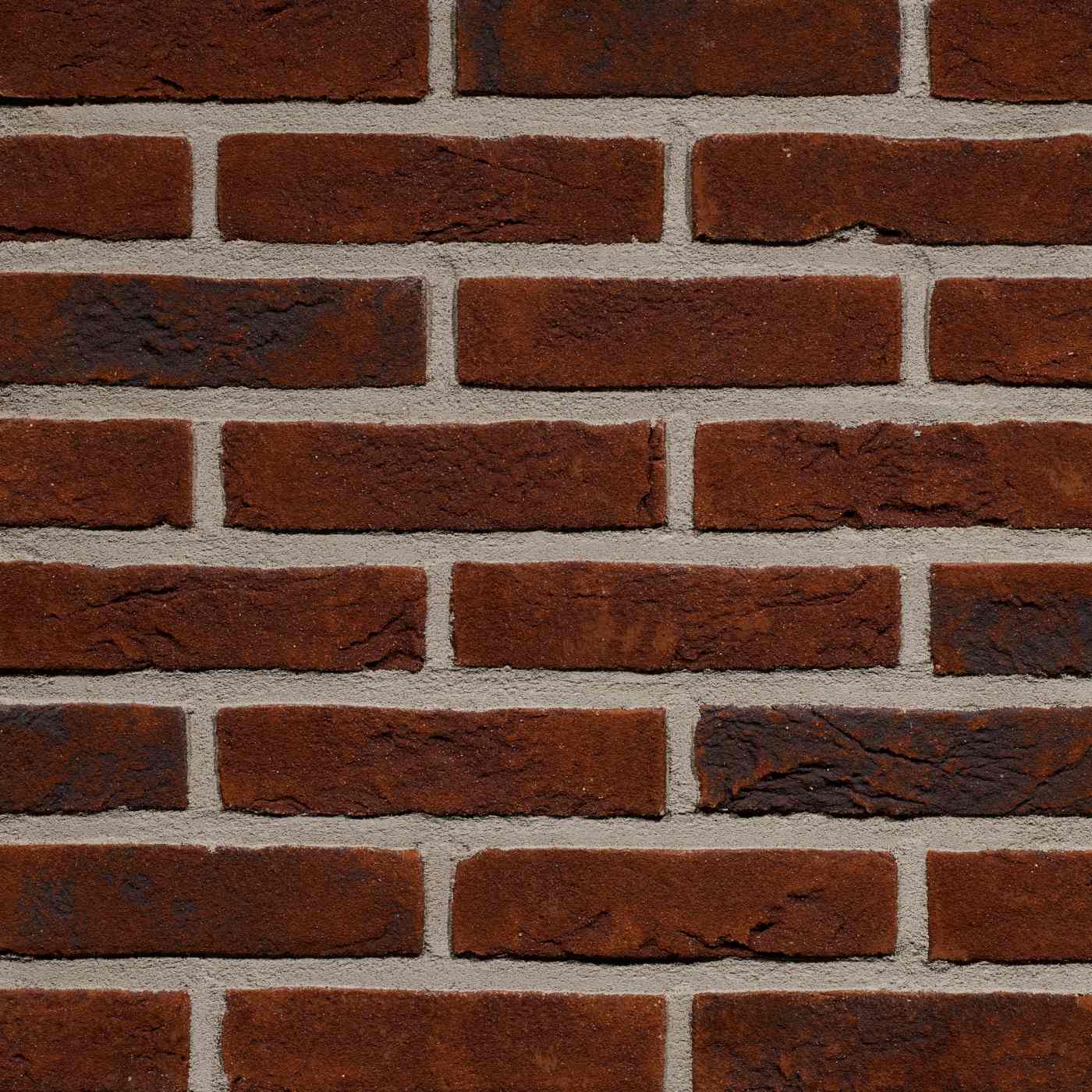 Productshot van de Pampas HV WF215 EB65