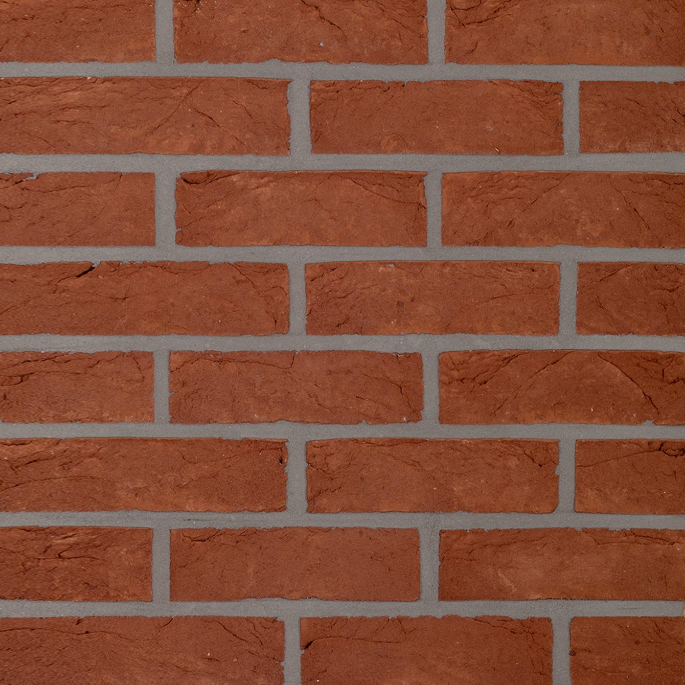 Productshot van de Paepesteen HV WF215 EB65