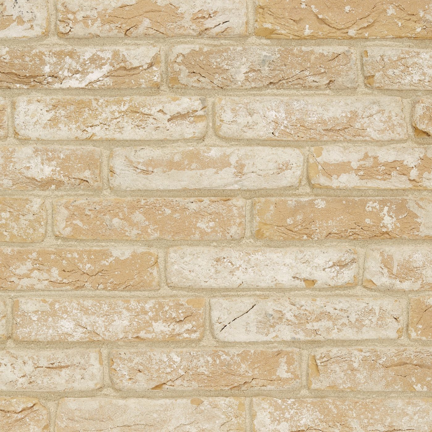 Productshot van de Avolto Muria Geel HV WF215 EB65