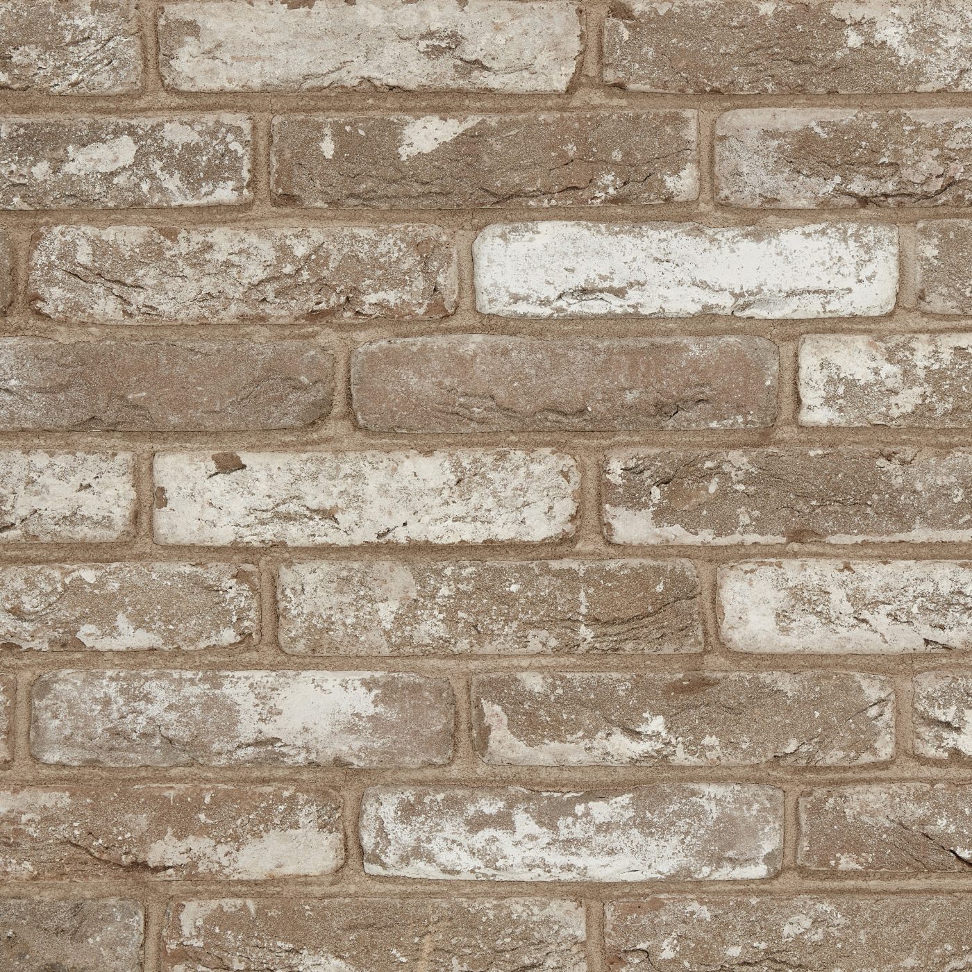 Productshot van de Avolto Nila Greige HV WF215 EB65