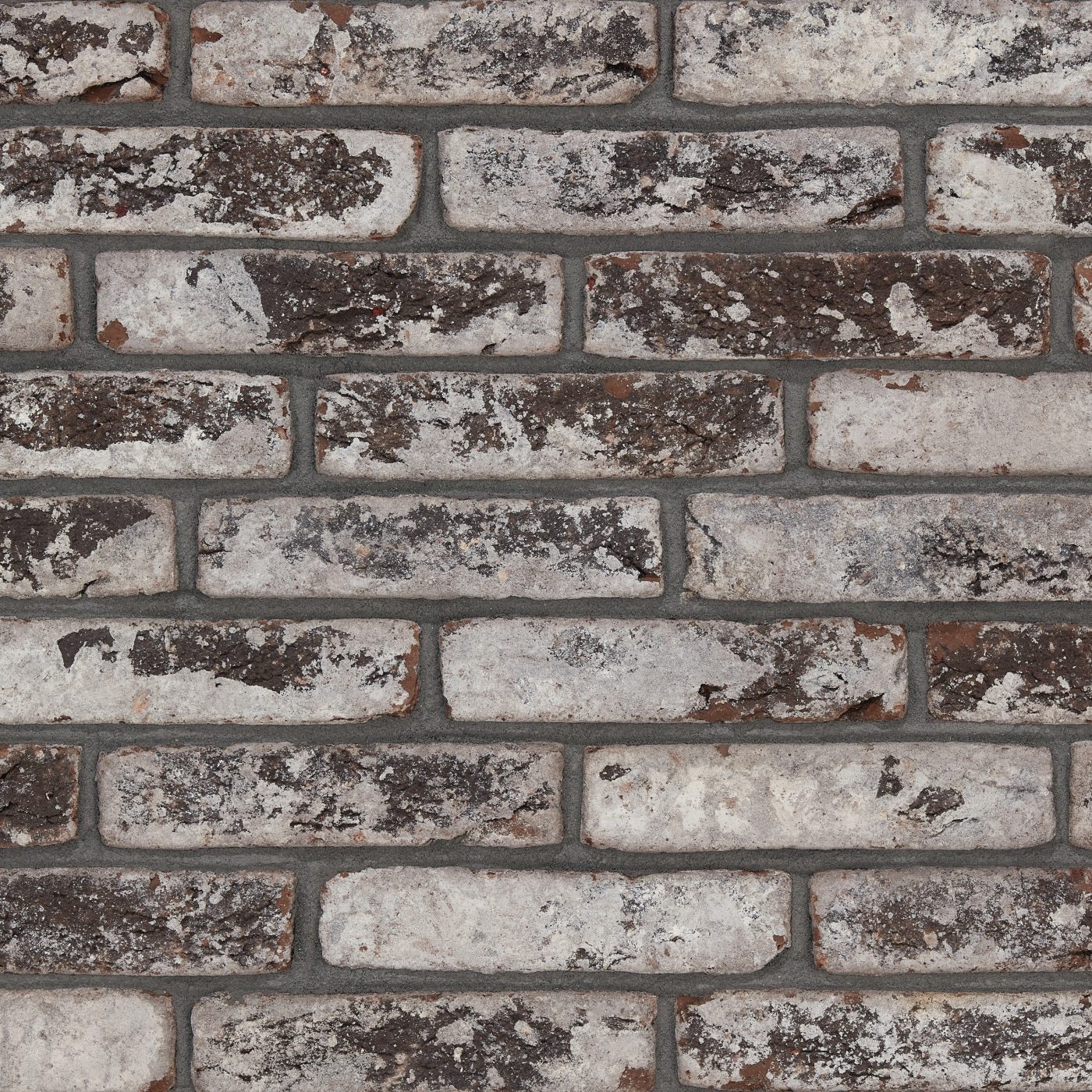 Productshot van de Avolto Remo Grijs HV WF215 EB65