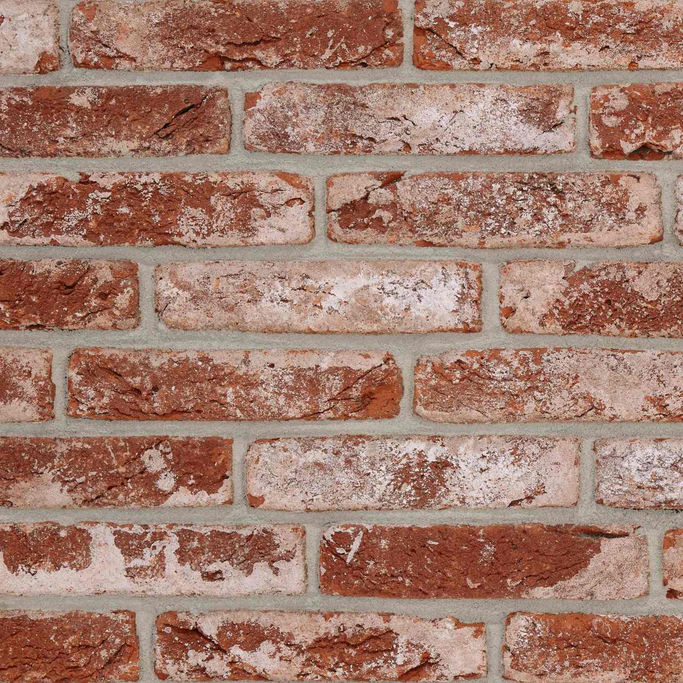 Productshot van de Avolto Jado Rood HV WF215 EB65