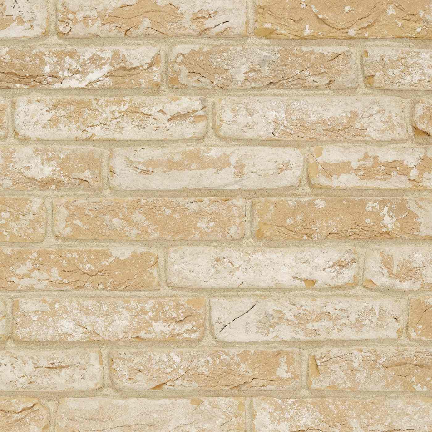 Productshot van de Avolto Muria Geel HV WF215 EB65