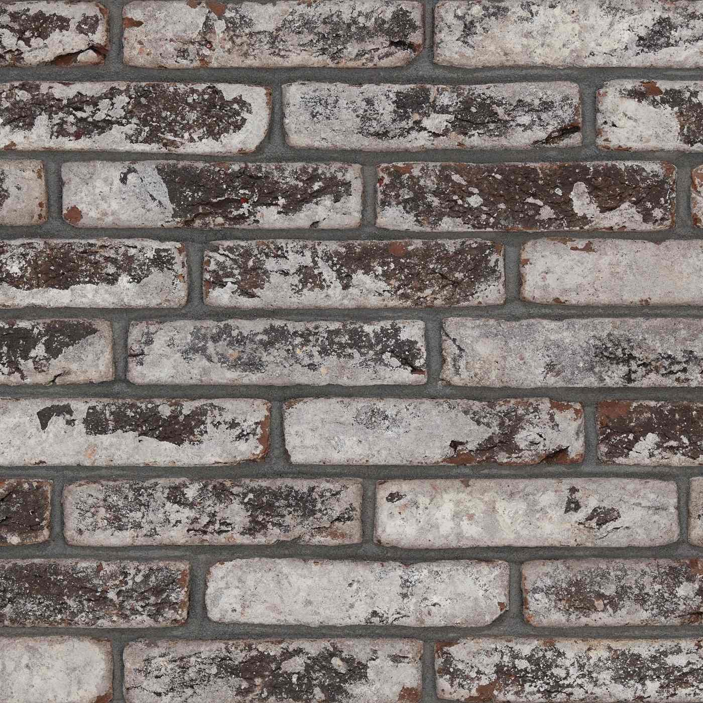 Productshot van de Avolto Remo Grijs HV WF215 EB65