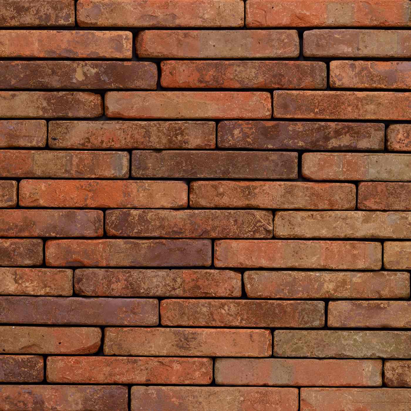 Productshot van de Metropolis Aula Rood SP HF EB65