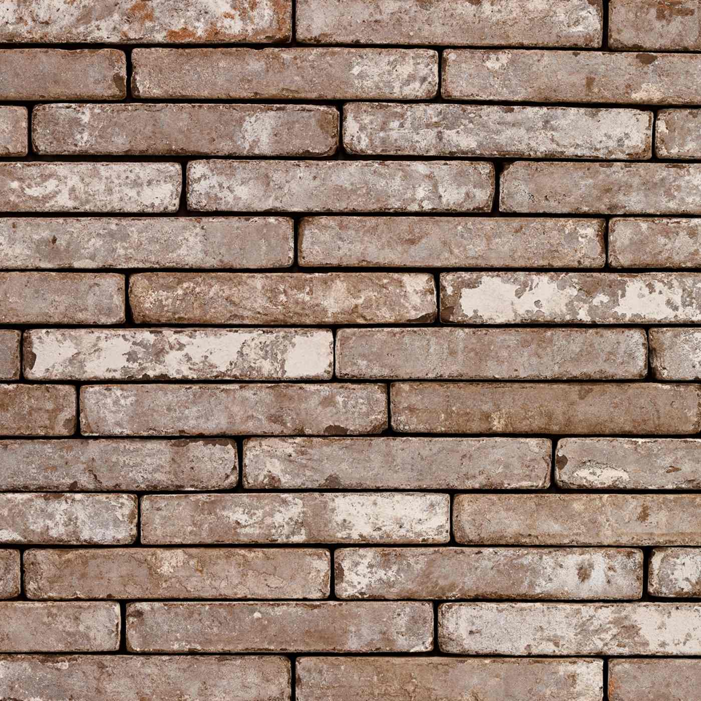 Productshot van de Metropolis Civitas Bruin SP HF EB65