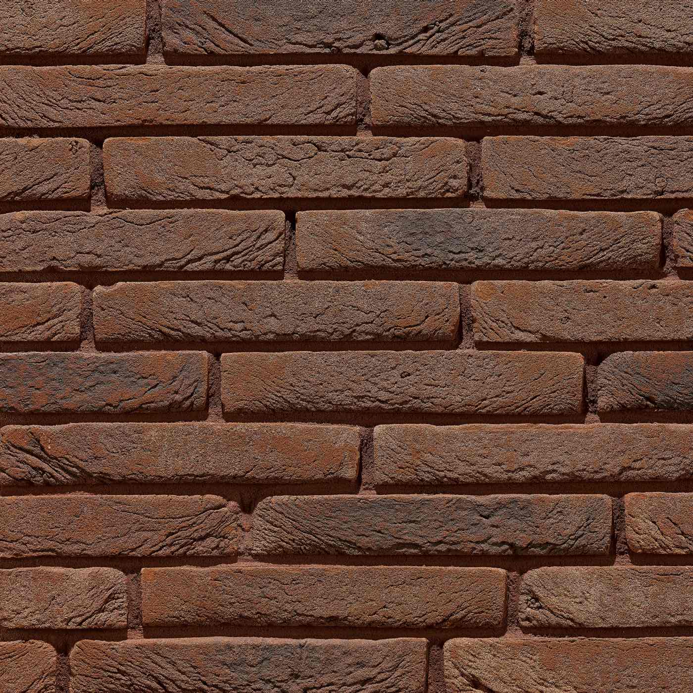 Productshot van de Tolus Maya Paars HV HF 75