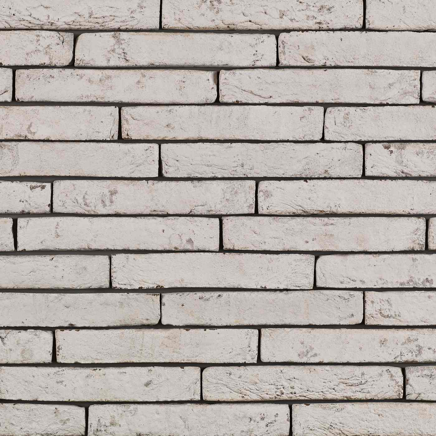 Productshot van de Imperium Flavius HV HF 75