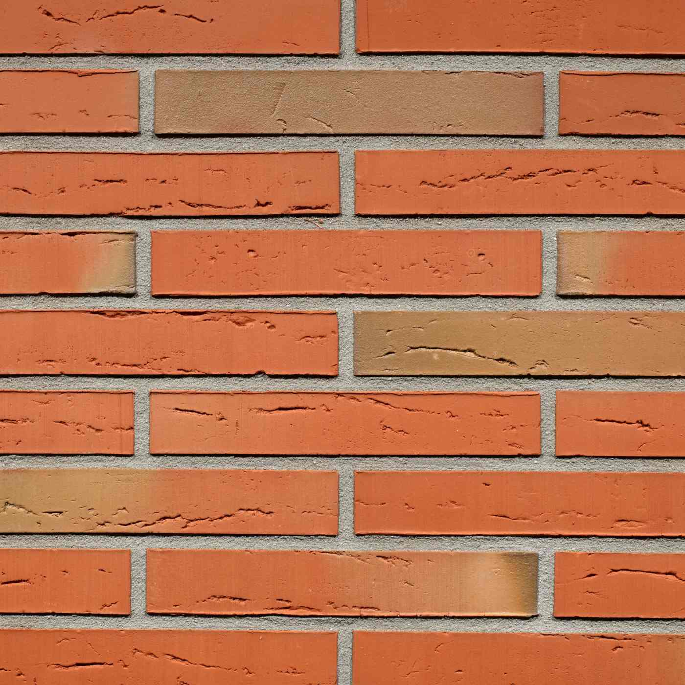 Productshot van de Linnaeus Robinia SP LF288 gevelbaksteen