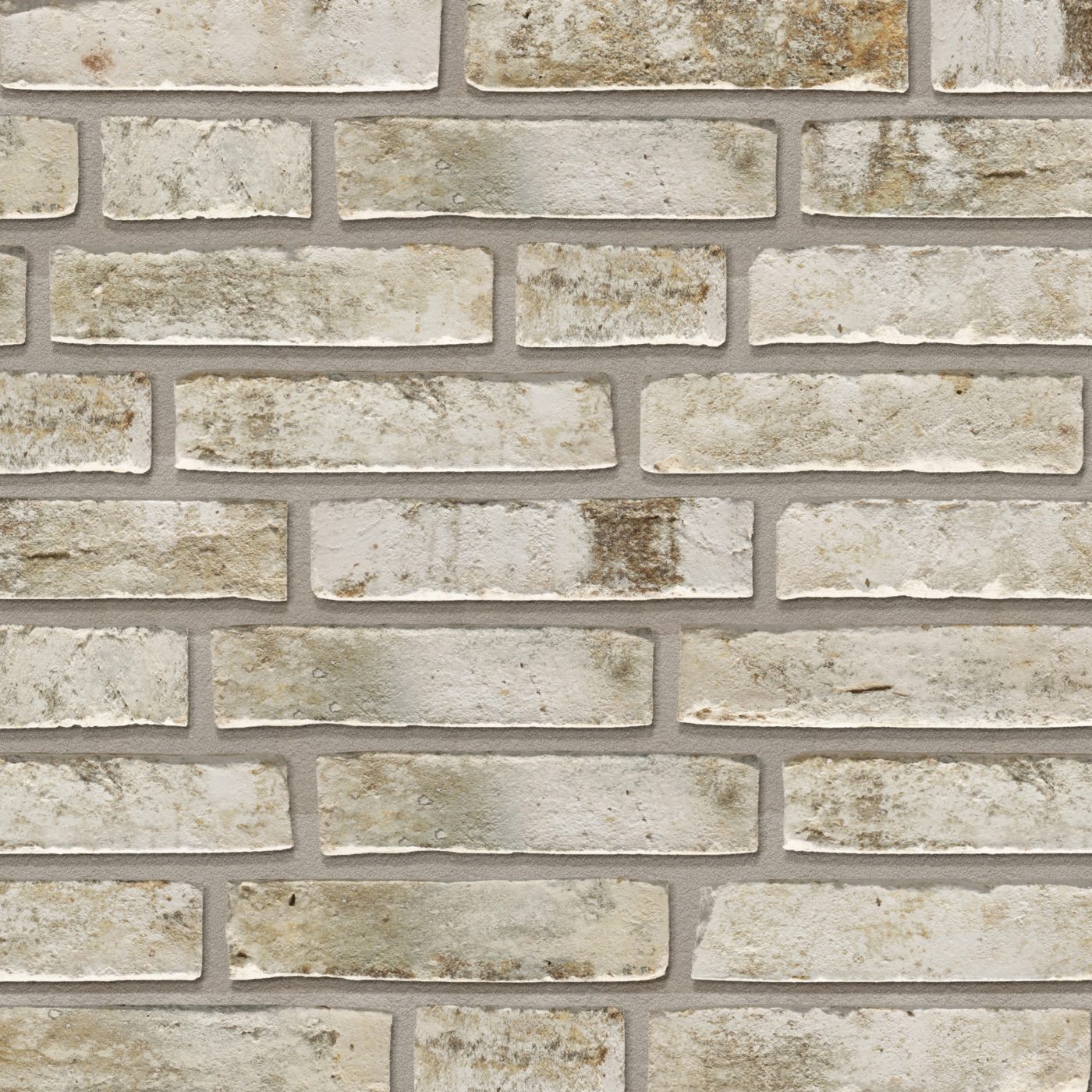 Productshot van de Alta Fjord WS WF