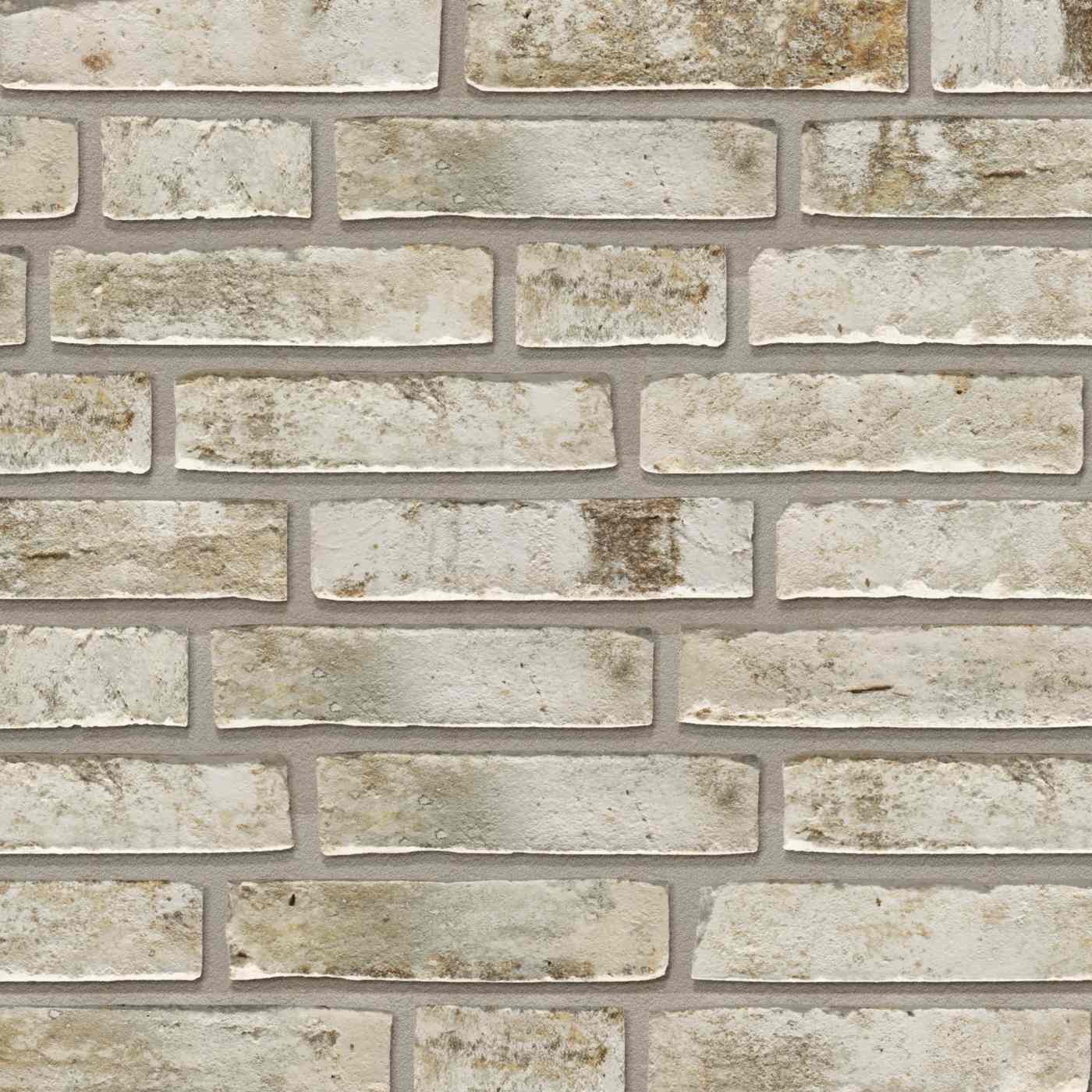 Productshot van de Alta Fjord WS WF