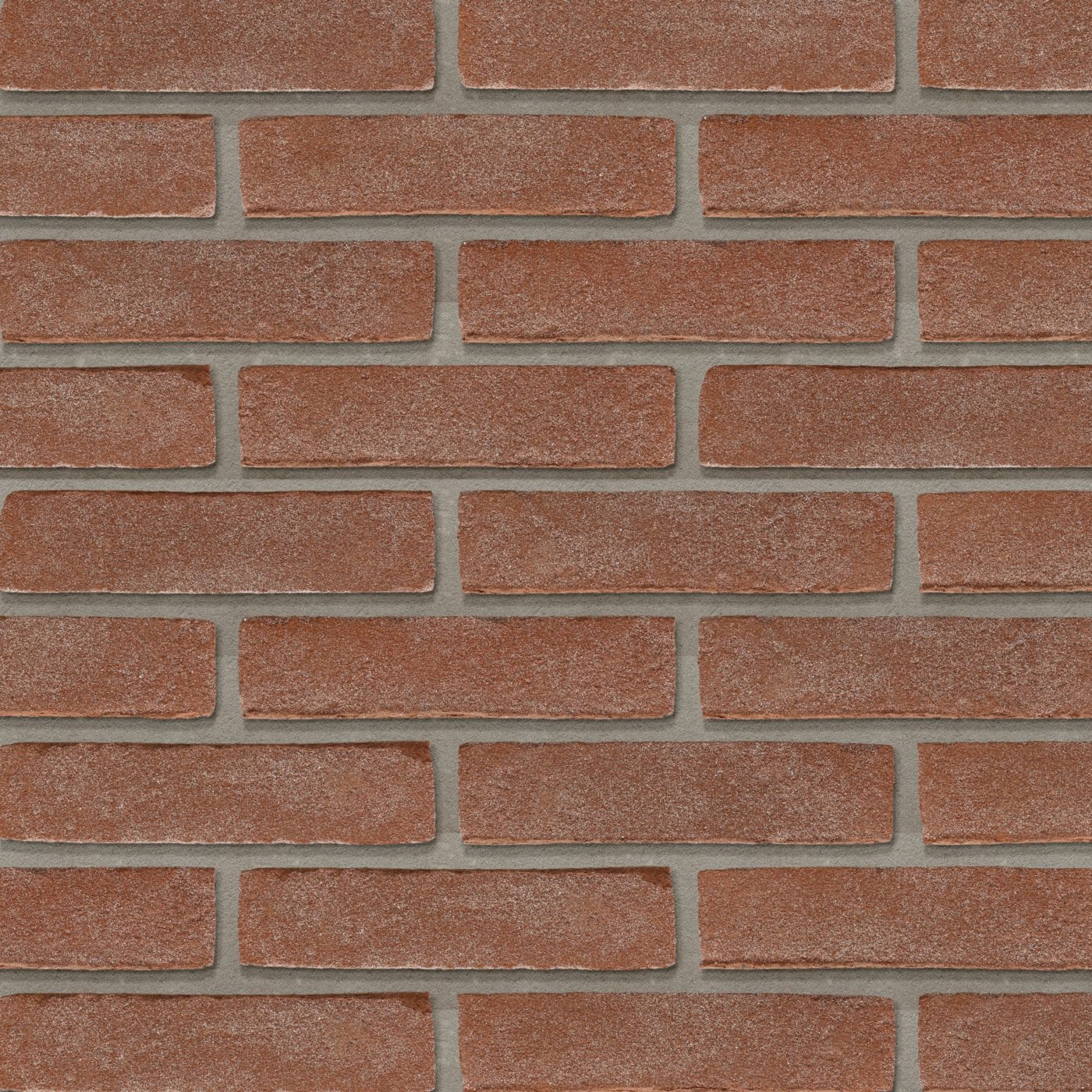 Productshot van de Waalrood VB WF brick