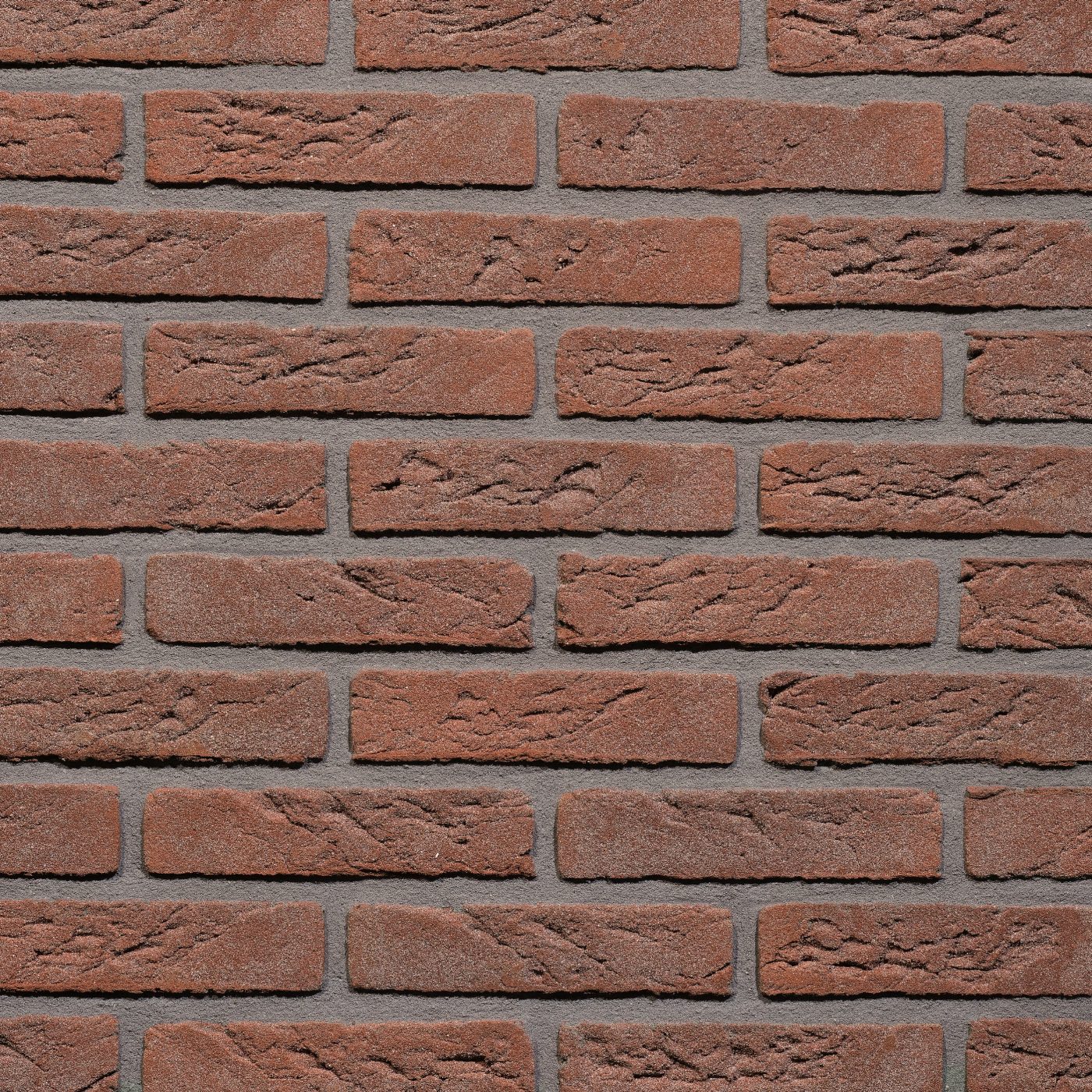Productshot van de Waalrood VB WF brick