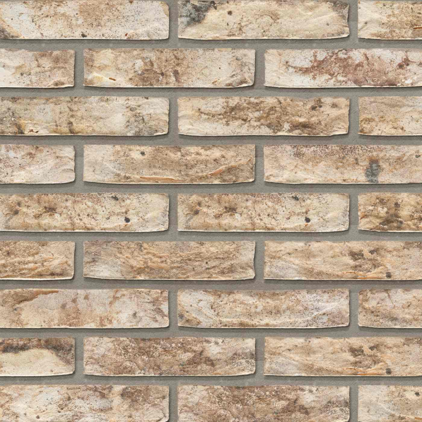 Productshot van de Pasvik Park HV WF215 EB65