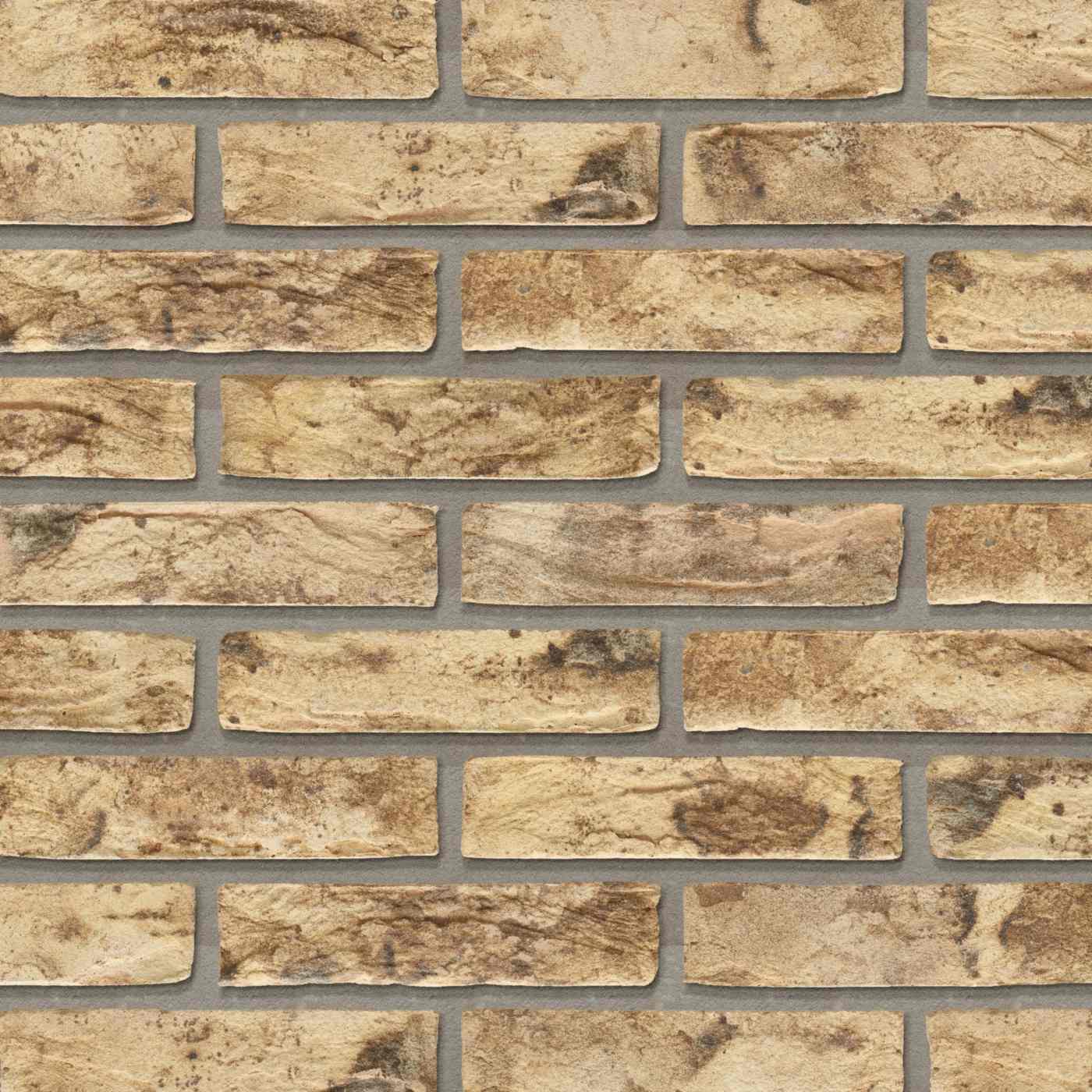 Productshot van de Sarek Park HV WF215 EB65 baksteen