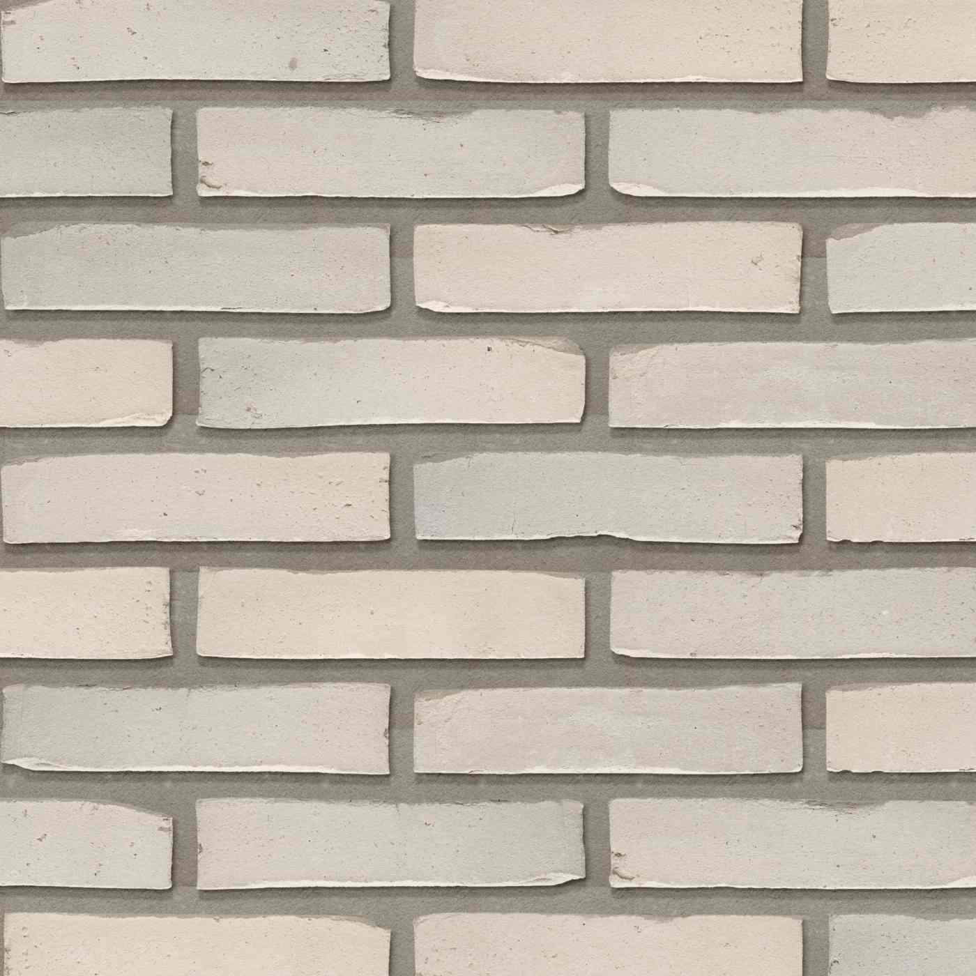 Productshot of the Amfora Wolk Grijs WS WF210 EB65