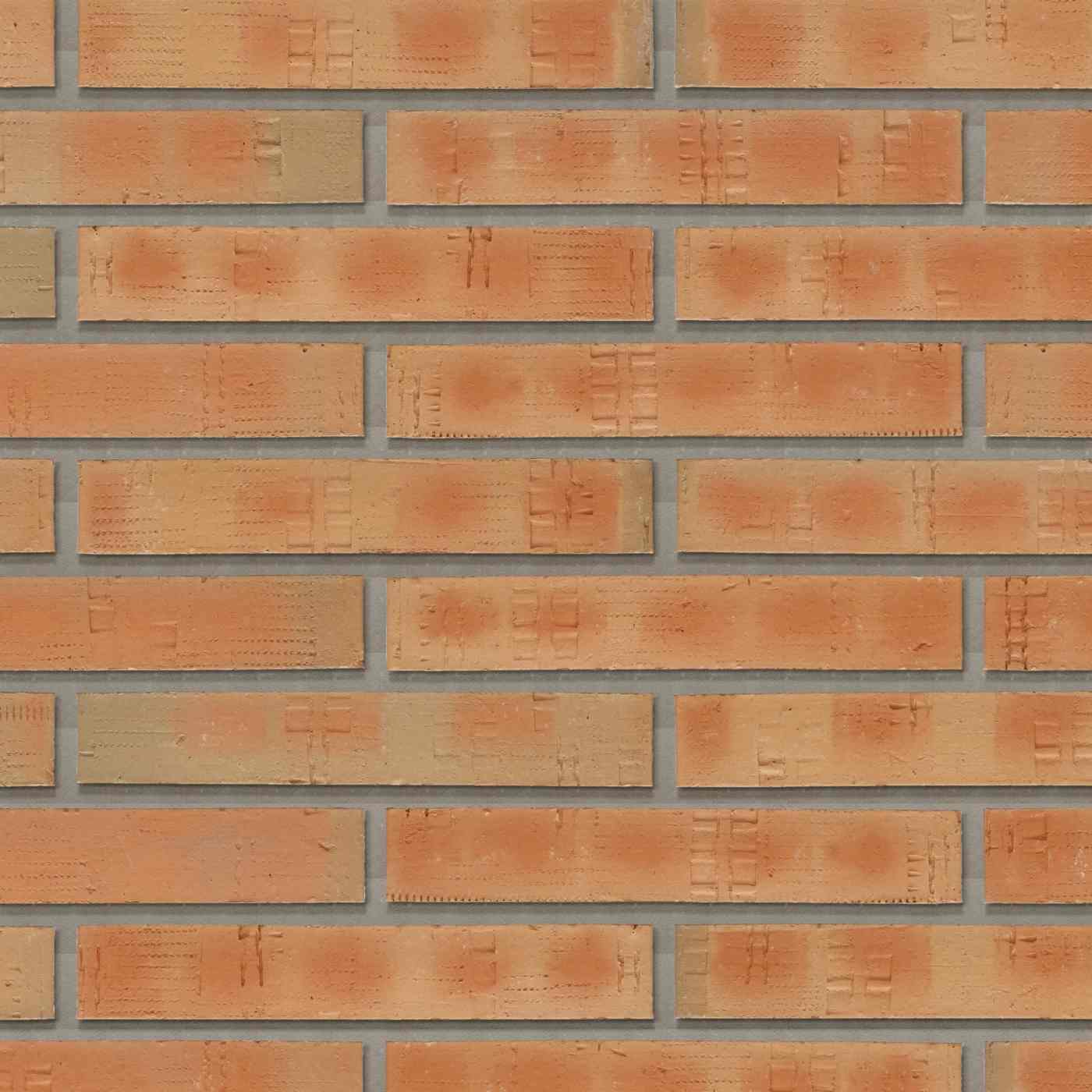 Productshot van de Elignia Audo Oranje LF288