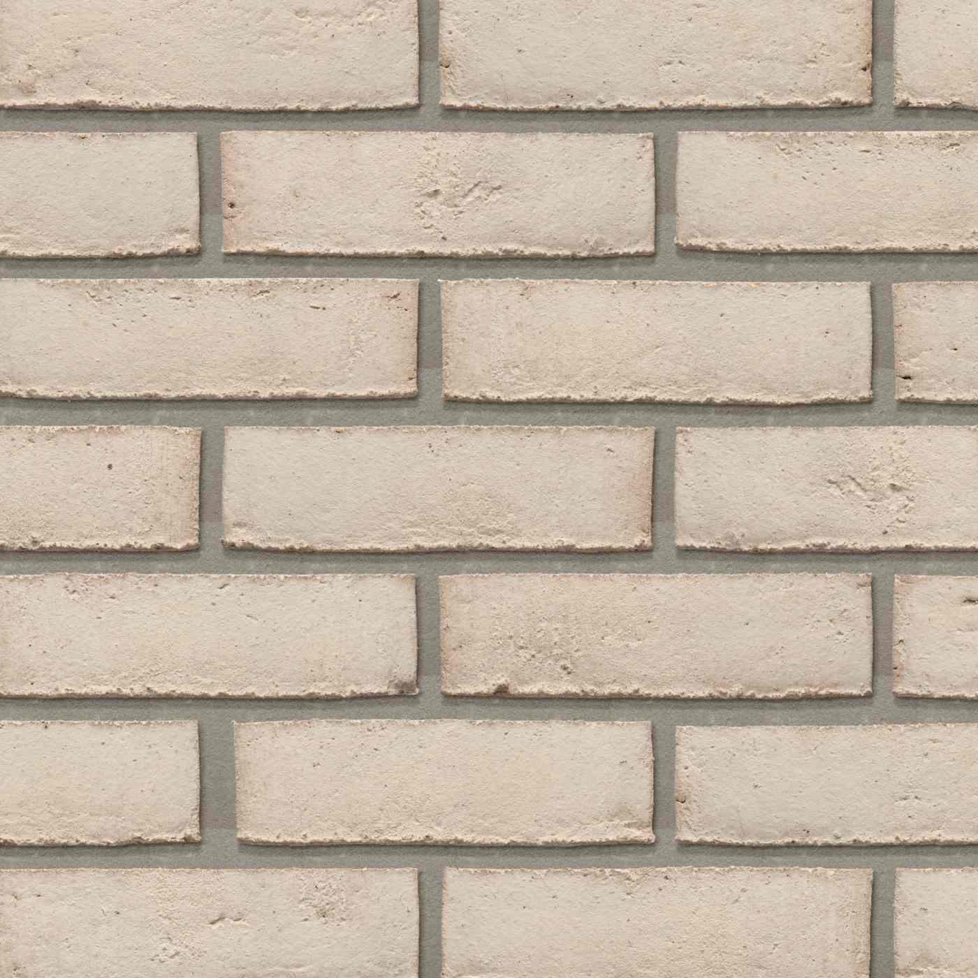 Productshot van de Lagune Adina WS BNF gevelbaksteen