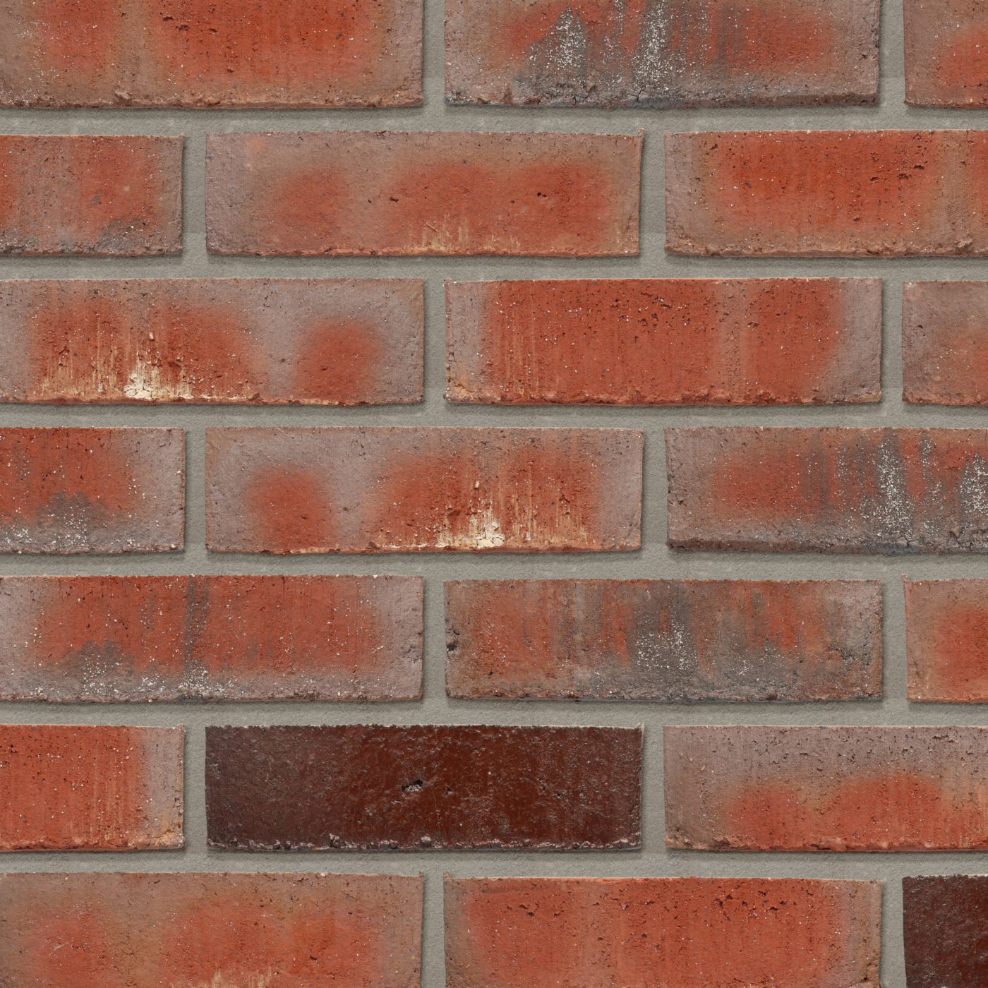 Productshot van de Lagune Inara WS BNF gevelbaksteen