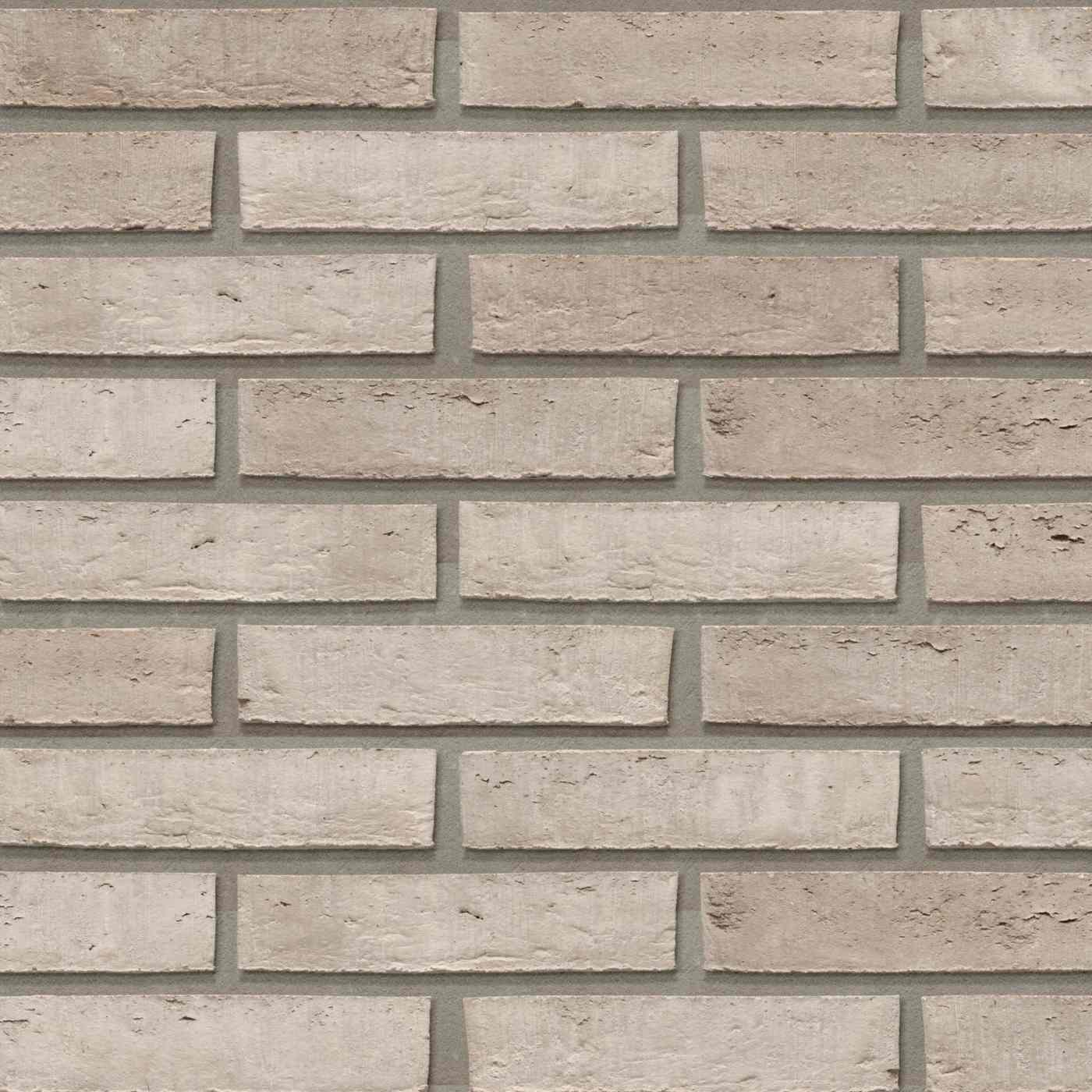 Productshot van de Lagune Akemi WS BNF gevelbaksteen