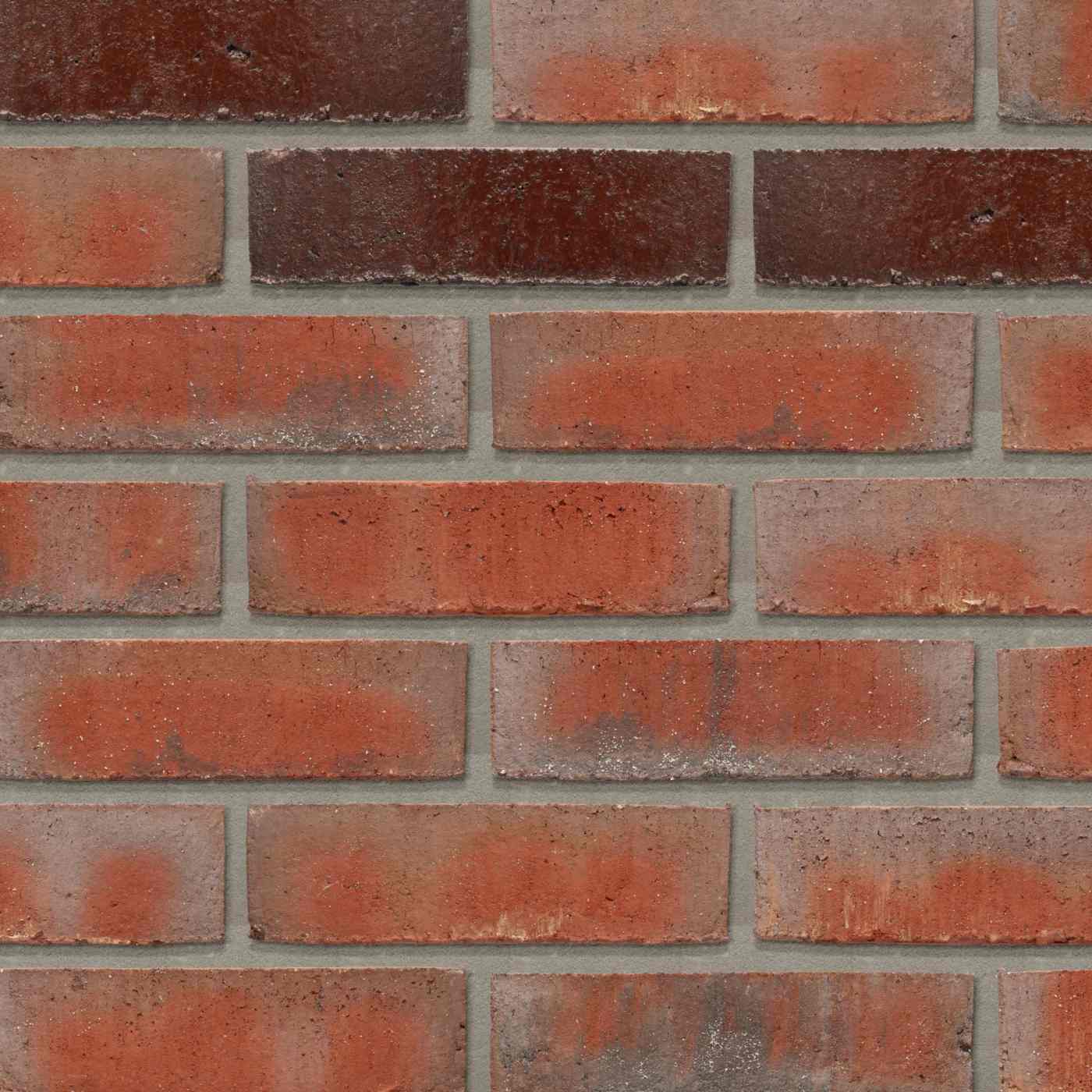 Productshot van de Lagune Inara WS BNF EB65 gevelbaksteen