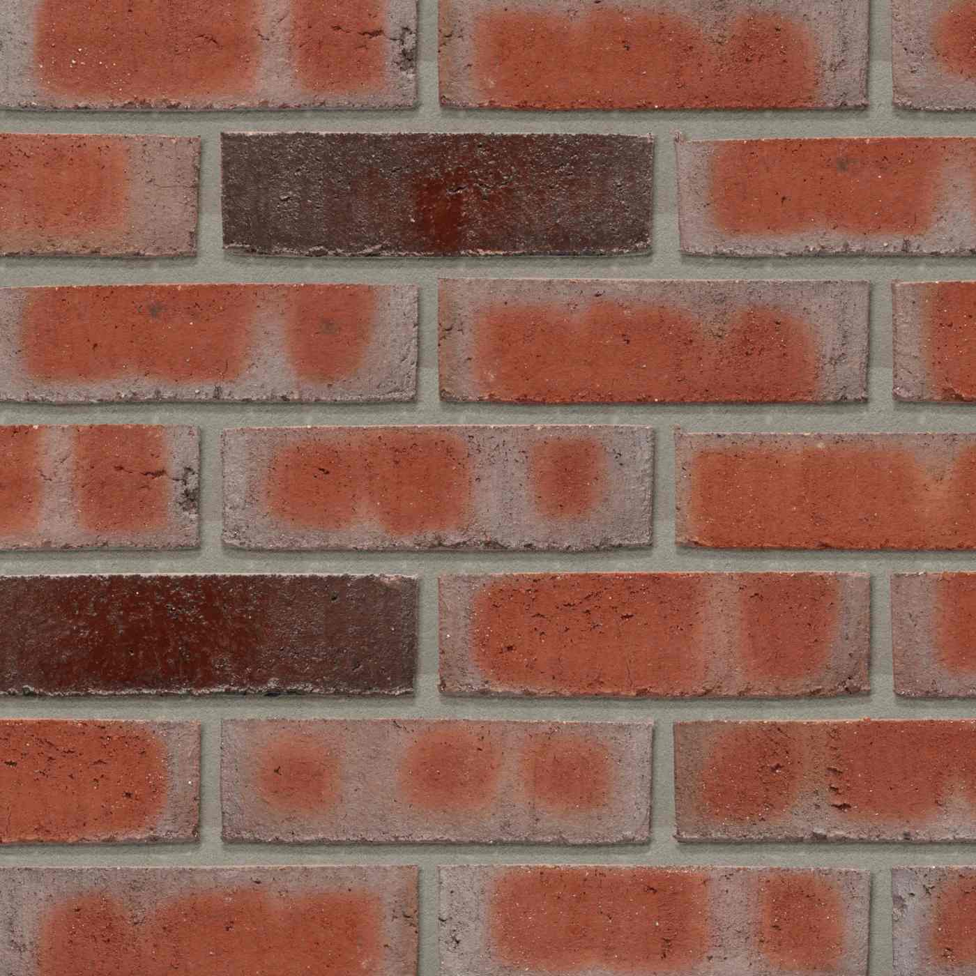 Productshot van de Lagune Leana WS BNF EB65 gevelbaksteen